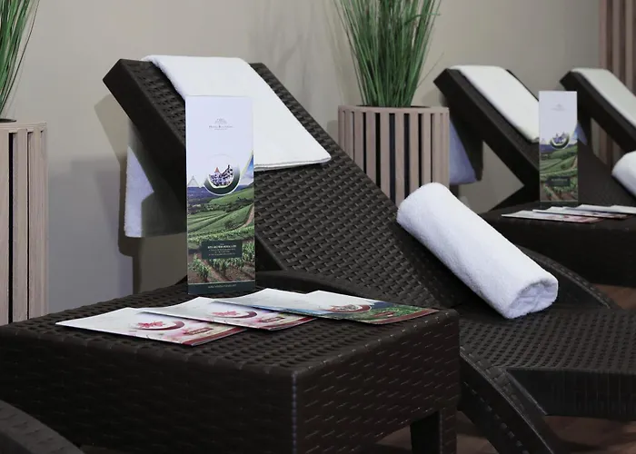 Buczynski Medical & מלון Świeradów-Zdrój